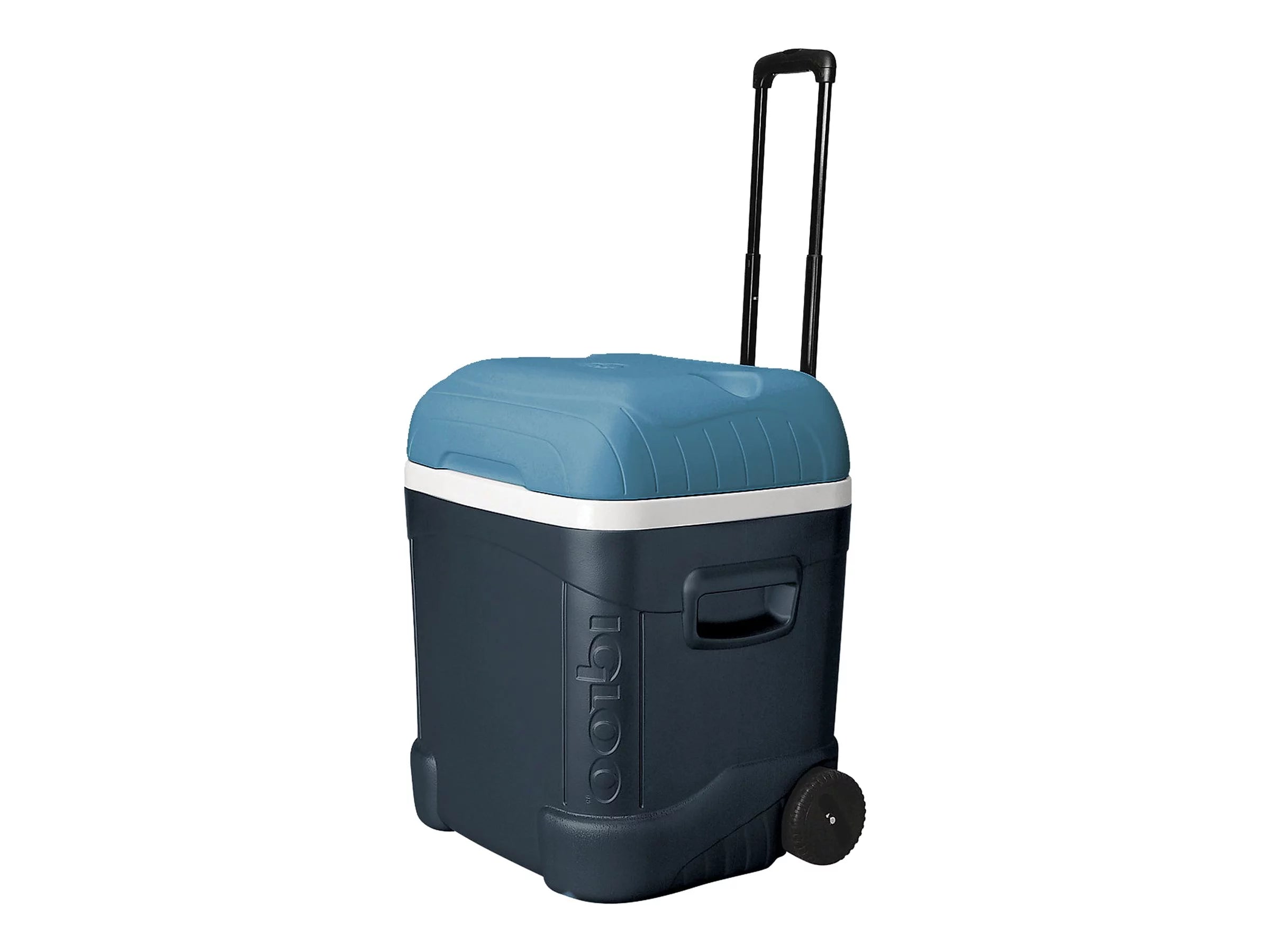 Igloo MaxCold Ice Cube 70 Roller - Thermo box - 17.4 gal - ice blue, carbon