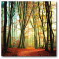 Courtside Market Colorfall II Gallery-Wrapped Canvas Wall Art, 16x16