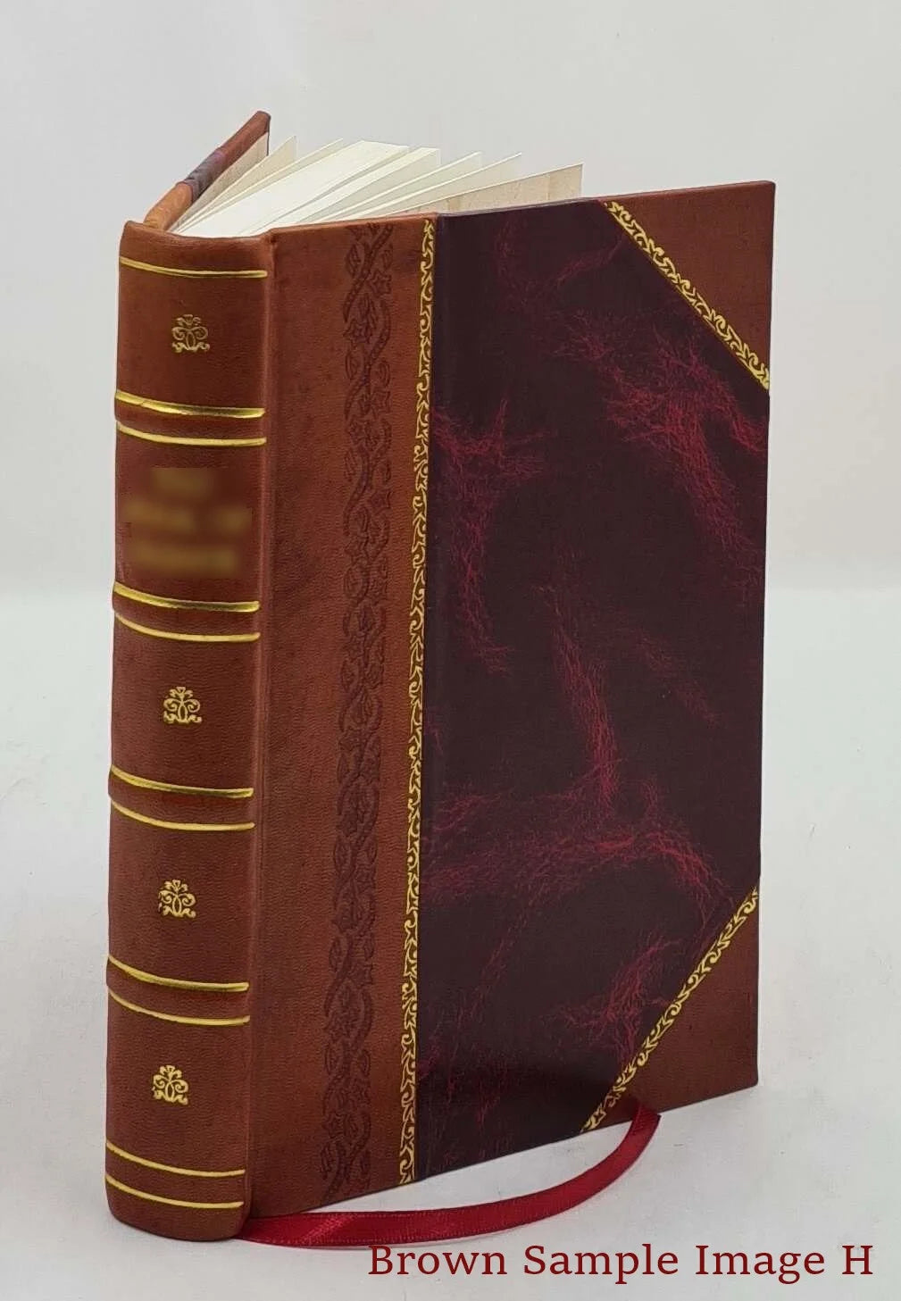 Russia From The American Embassy April 1916- November, 1918 1921 [Leather Bound]