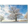 Courtside Market WEB-WW209-18x26 18 x 26 in. Cold Oak Gallery-Wrapped Canvas Wall Art