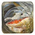 Alligator Foam Coasters, Set Of 4