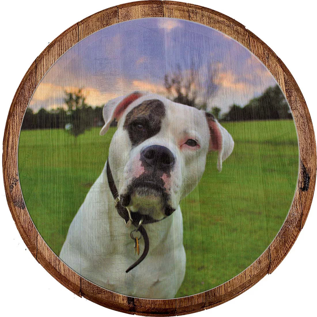 Bar Sign White Spotted Dog Pitbull Bulldog Bully Breed Lab Mutt Bar Wall Decor Wall Art Gifts
