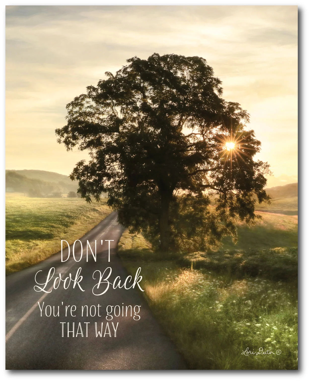 Courtside Market Don't Look Back Gallery-Wrapped Canvas Wall Art, 16x20