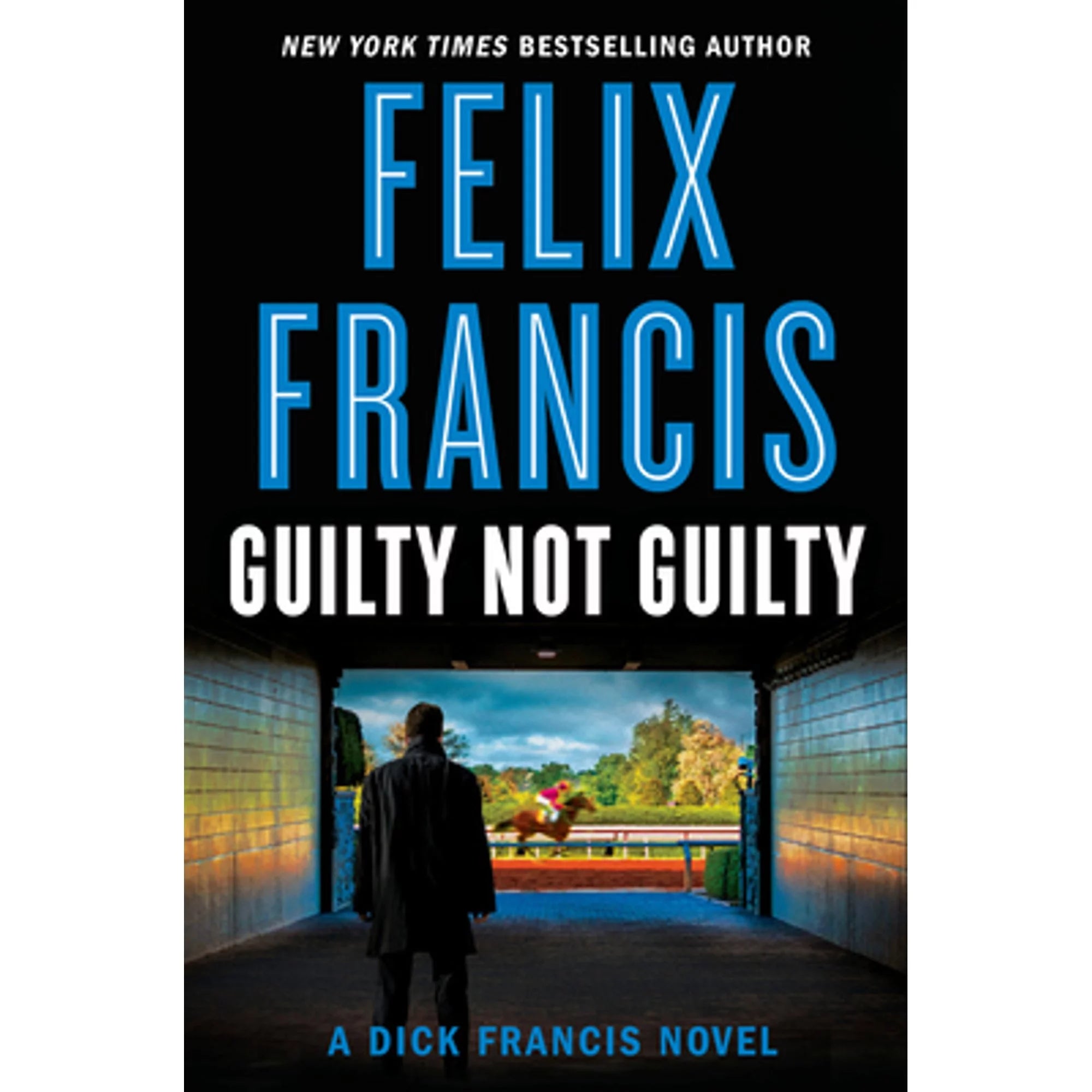 Guilty Not Guilty (Hardcover)