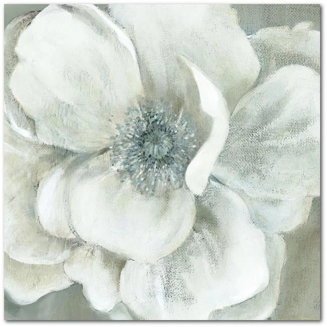 Courtside Market WEB-WW232-30x30 30 x 30 in. Opalescence II Gallery-Wrapped Canvas Wall Art