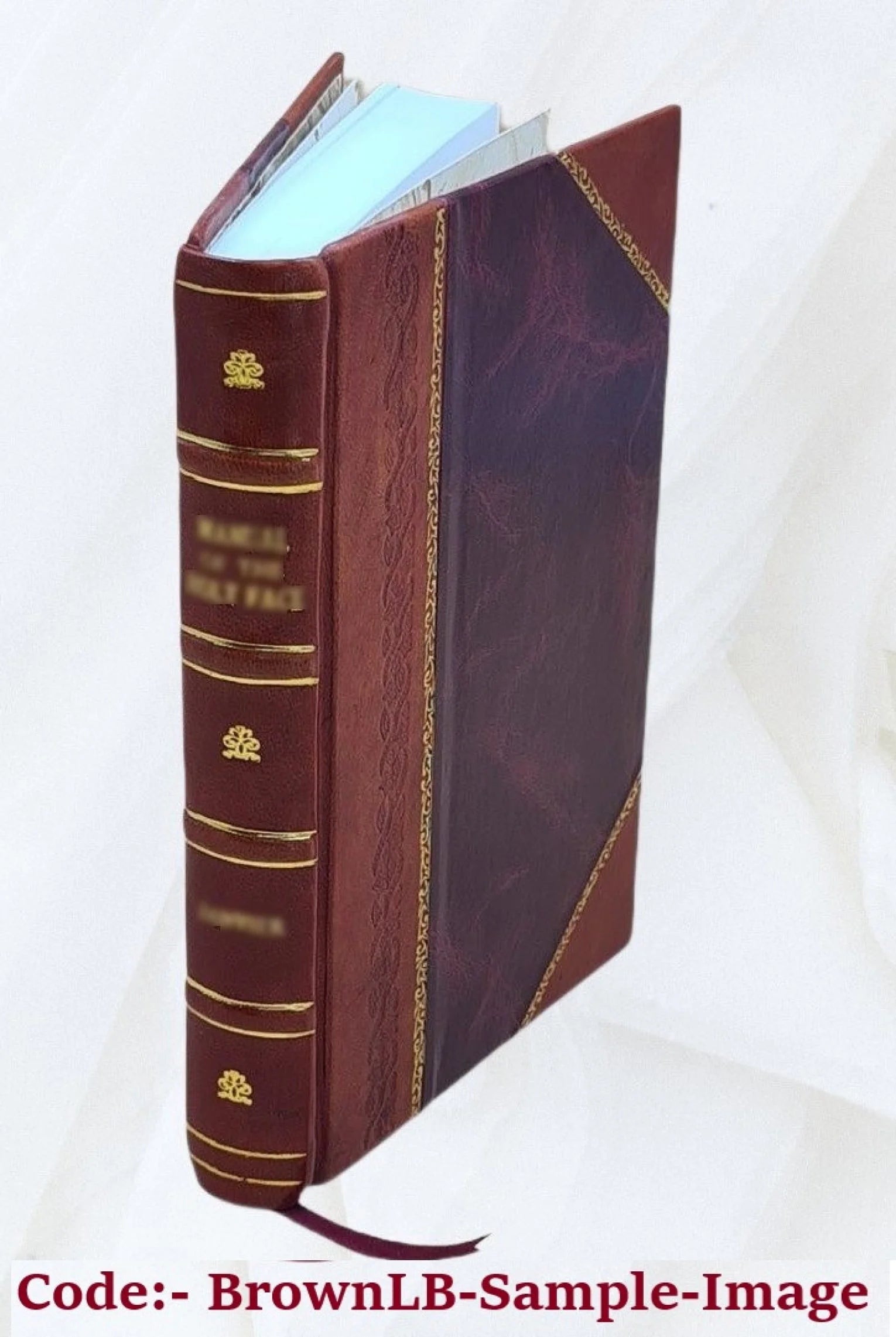 The New Popular Educator Vol 8 1892 [Leather Bound]