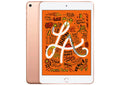 USED Apple 7.9-inch iPad Mini 5, Wi-Fi Only, 64GB, Grade B+, Rapid Charger - Gold